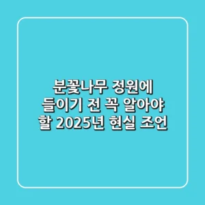 분꽃나무, 정원에 들이기 전 꼭 알아야 할 2025년 현실 조언