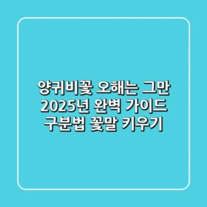 양귀비꽃: 오해는 그만! 2025년 완벽 가이드 (구분법, 꽃말, 키우기)