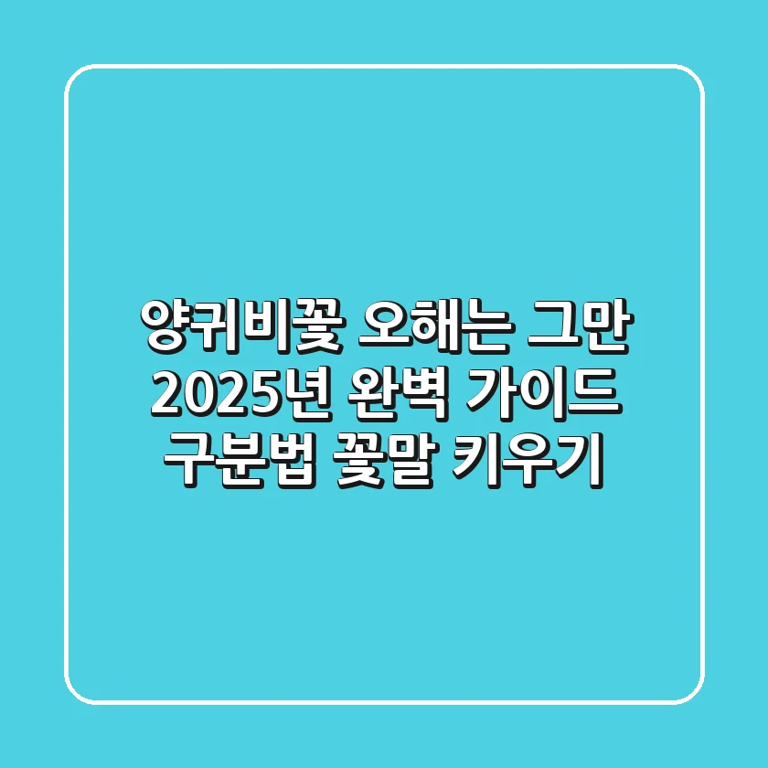 양귀비꽃: 오해는 그만! 2025년 완벽 가이드 (구분법, 꽃말, 키우기)