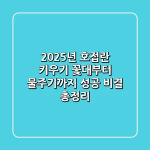 2025년 호접란 키우기, 꽃대부터 물주기까지 성공 비결 총정리
