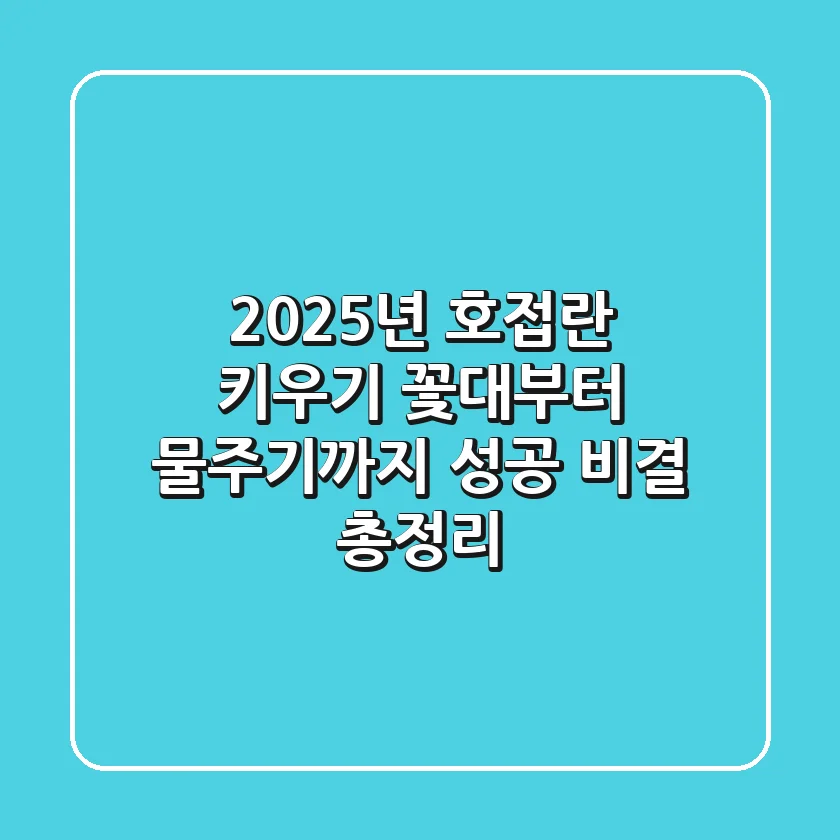 2025년 호접란 키우기, 꽃대부터 물주기까지 성공 비결 총정리
