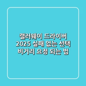 캘러웨이 드라이버 2025: 실패 없는 선택, '비거리 요정' 되는 법