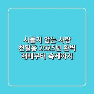 시들지 않는 사랑, 천일홍! 2025년 완벽 재배부터 축제까지