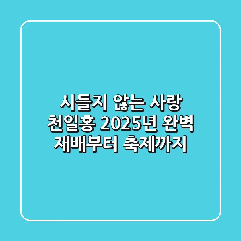 시들지 않는 사랑, 천일홍! 2025년 완벽 재배부터 축제까지